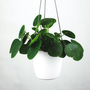 Bransoletka srebrna z charmsami